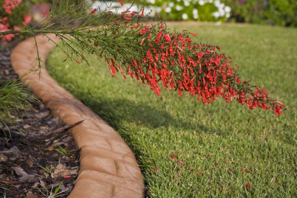 Brick Edging in Sterling