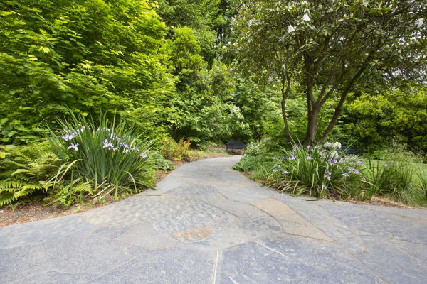 Stone Hardscape Service in Sterling