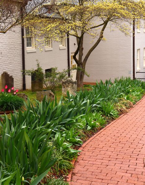 Brick Flatwork Repair in Sterling